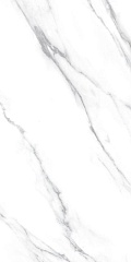 Carrara Dec B NPlus 60 120