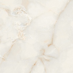 Ostra Bianco Elegance Polished 120 120