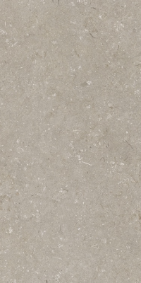 Итальянская плитка Dado Ceramica Shellstone Shellstone Taupe 60 120