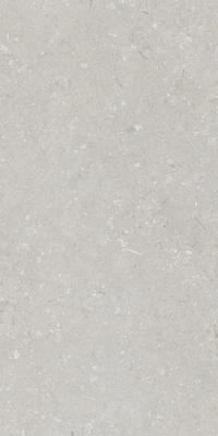 Итальянская плитка Dado Ceramica Shellstone Shellstone Bianco 60 120