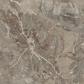 Breccia Boreale Brown Infinia Polished