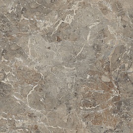 Breccia Boreale Brown Infinia Polished