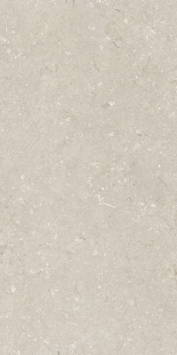 Итальянская плитка Dado Ceramica Shellstone Shellstone Beige 60 120