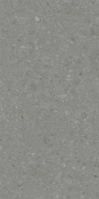 Российская плитка Kerama Marazzi Чеппо ди Гре DD507920R Чеппо ди Гре серый тёмный матовый обрезной 60 119,5