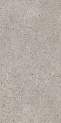 SG519920R Риккарди серый светлый матовый обрезной  60 119,5