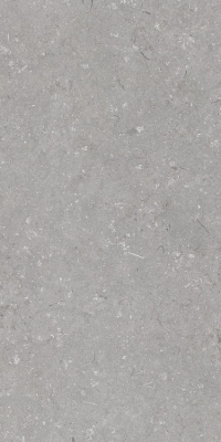 Итальянская плитка Dado Ceramica Shellstone Shellstone Grigio 60 120